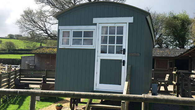 Two Night Shepherds Hut Break In Devon During Low Season For Up To Four People