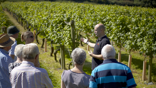 Vineyard Tour And Wine Tasting For Two At Chapel Down Winery  Kent