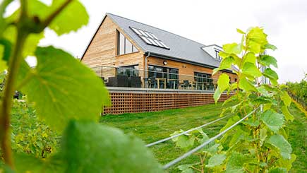 Vineyard Tour  Lunch And Tasting For Two At West Street Vineyard In Essex