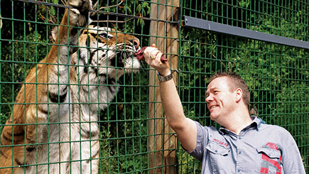 Weekend Big Cat Ranger For A Day At The Big Cat Sanctuary