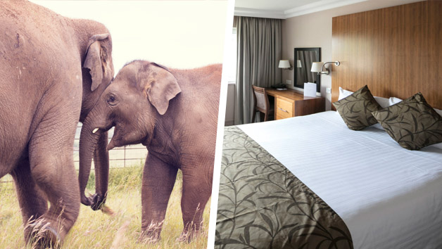 Whipsnade Zoo Adult Entry And Overnight Break At The Aubrey Park Hotel