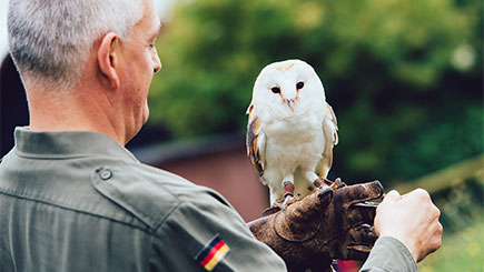 Woodland Walk And Owl Flying Experience At Coda Falconry