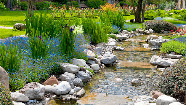 Zen Gardening Online Course For One Person
