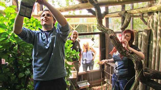 Zookeeper Experience For Two At Paradise Wildlife Park