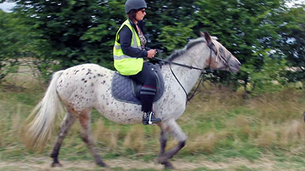Beginners Horse Riding In Bedfordshire