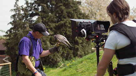 Bird Of Prey Photographic Day At Lee Valley Park Farms