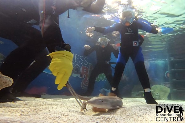Family Snorkelling And Entry At Skegness Aquarium