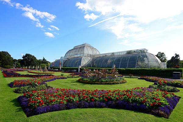 Family Visit To Kew Gardens And Palace For Two Adults And Two Children