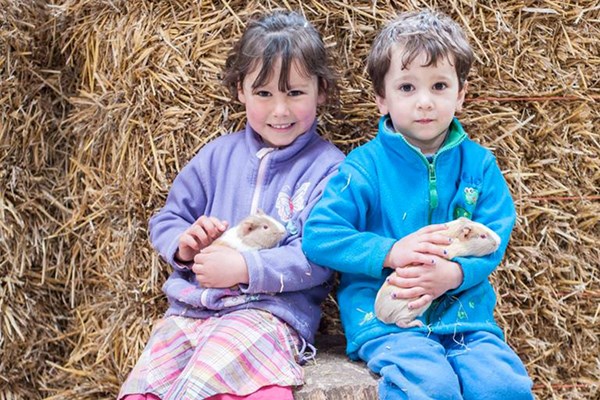 Farm Tour With Animal Handling For Two At Thornton Hall Country Park