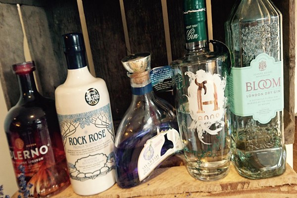 Gin Master Class For Two At Liquor And All Sorts