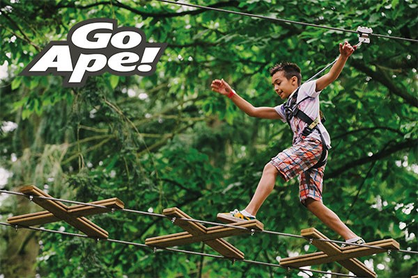 Junior Tree Top Adventure For One At Go Ape