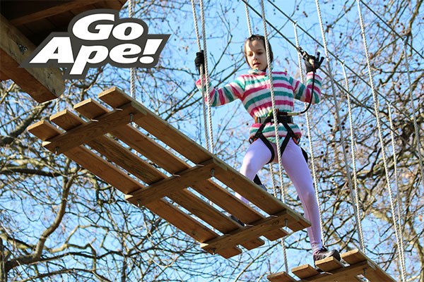 Junior Tree Top Adventure For One Child At Go Ape