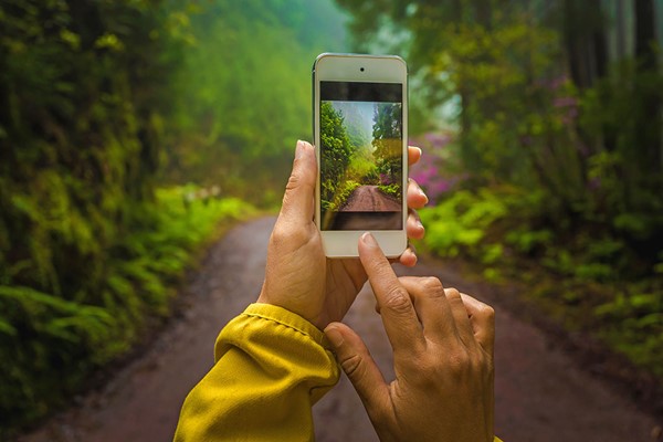 Learn How To Photograph On Your Smartphone Four Week Online Course For One