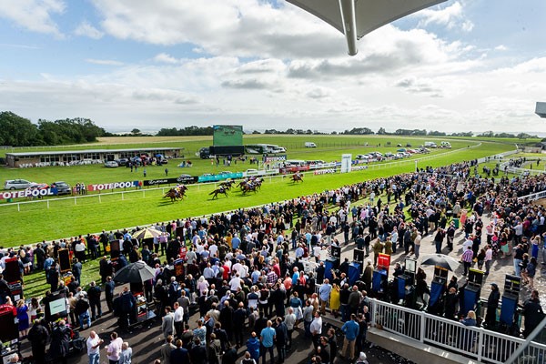 Lingfield Raceday And Three Course Meal With Wine For Two At Prezo