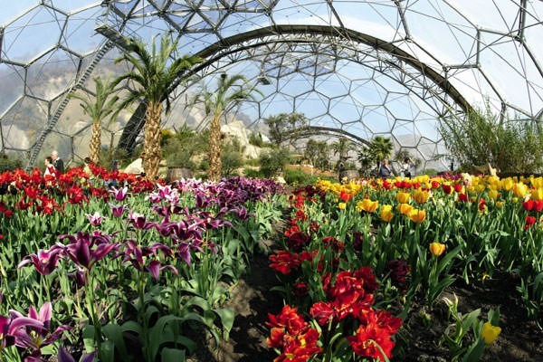 Mediterranean Biome Private Tour For Two At The Eden Project