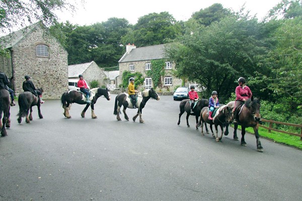 One Hour Horse Riding Session For Two At Caffyns Farm