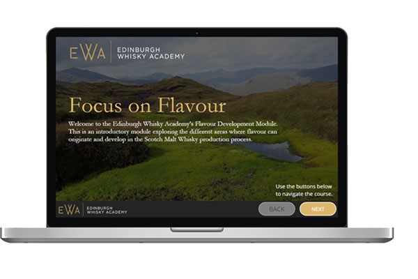 Online Single Malt Scotch Whisky focus On Flavour Course For One