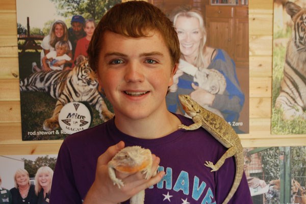Paradise Wildlife Park Visit And Reptile And Bug Bonanza For Two