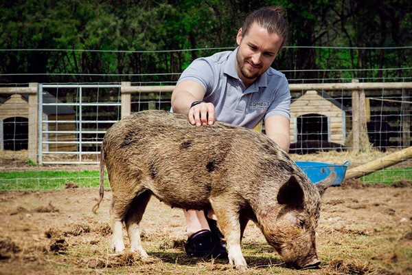 Pig Enthusiast Experience For Two At Kew Little Pigs