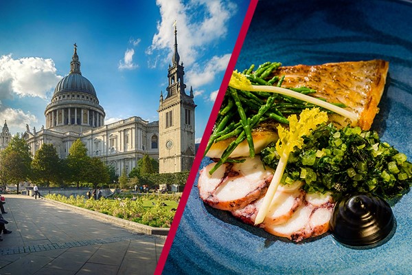 St Pauls Visit And Three Courses With Cocktails At Searcys At The Gherkin For Two