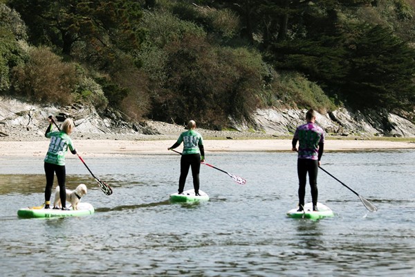 Surf Or Stand Up Paddle Boarding For One At Big Green Surf School