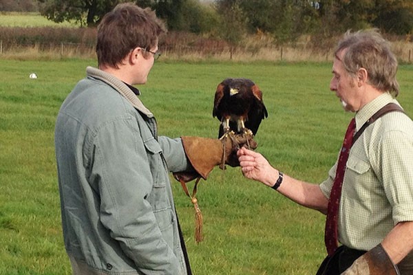 Three Hour Birds Of Prey Day For Two