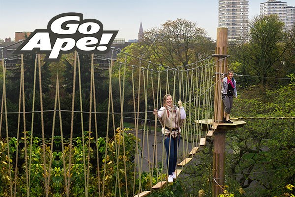 Tree Top Challenge For Two Adults At Go Ape