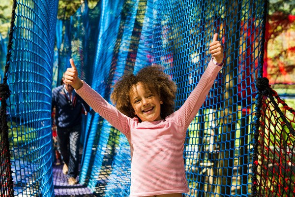 Treetop Nets Adventure For One Child