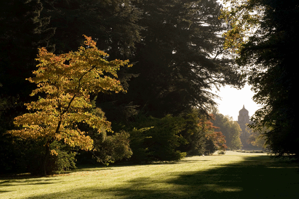 Two Night Break With Entry To Westonbirt At Best Western Mayfield House Hotel