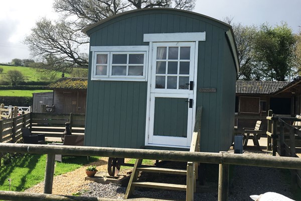 Two Night Shepherds Hut Getaway In Devon For Up To Four People During High Season
