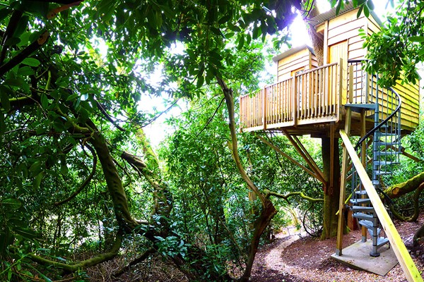 Two Night Stay In The Nest Tree House