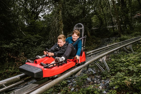 Zip World Fforest Coaster Shared Sled Ride - Adult And Child