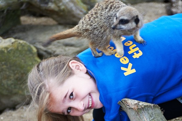 Zoo Keeper Experience At Drusillas Zoo Park