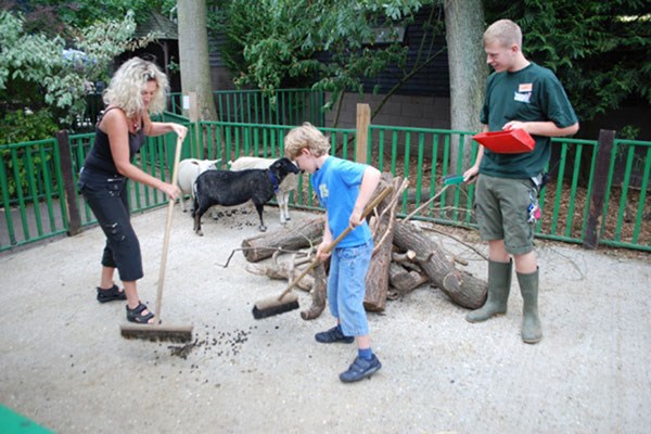 Zookeeper Experience At Paradise Wildlife Park For One Adult And One Child