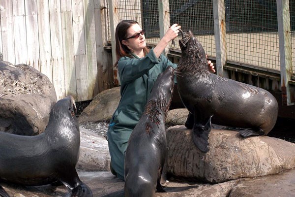 Zookeeper For A Day At Bristol Zoo With Entry For Two  Lunch And Souvenir