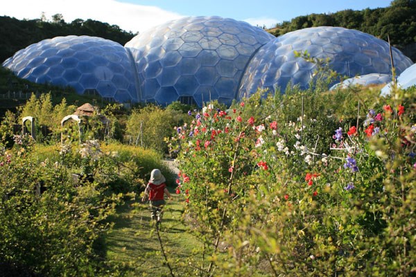 Chocolate Flavoured Rainforest Private Tour For Two At The Eden Project