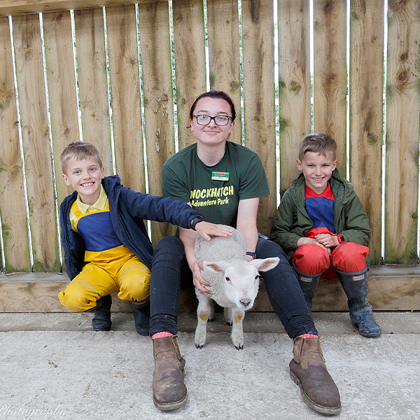 Animal Keeper Experience In Sussex