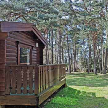 Two Night New Forest Lodge Break For Six