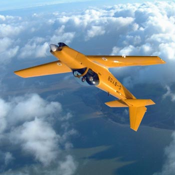 Firefly Aerobatics Experience Essex