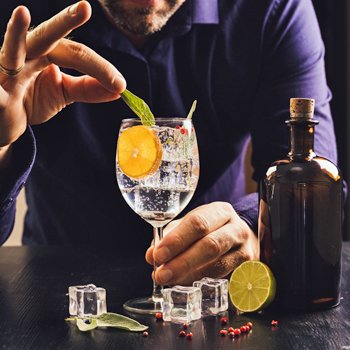 Gins Of The World Tasting Experience