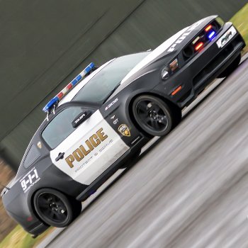 Mustang Police Car Experience