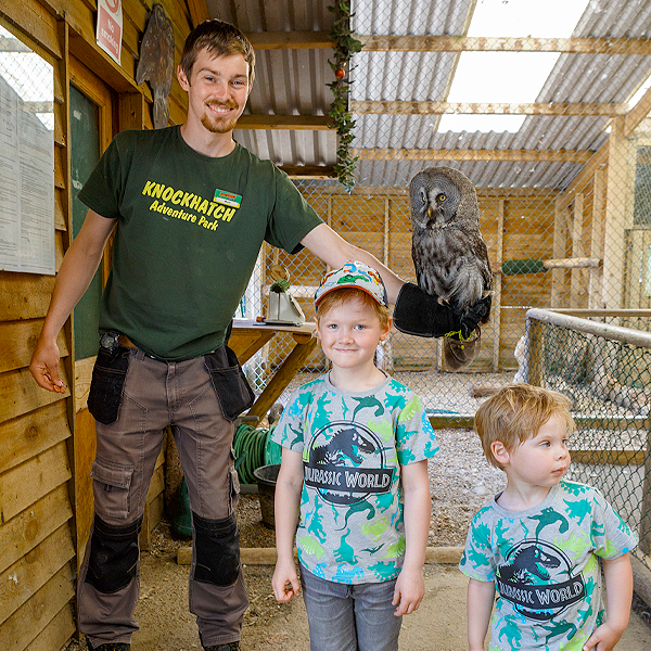 Owl Experience East Sussex
